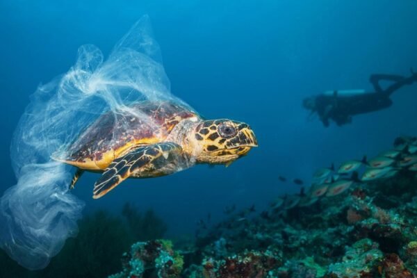 Underwater Pollution