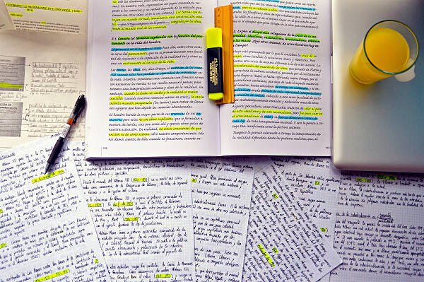 Marine Biology Dissertation Writing Guide for Students