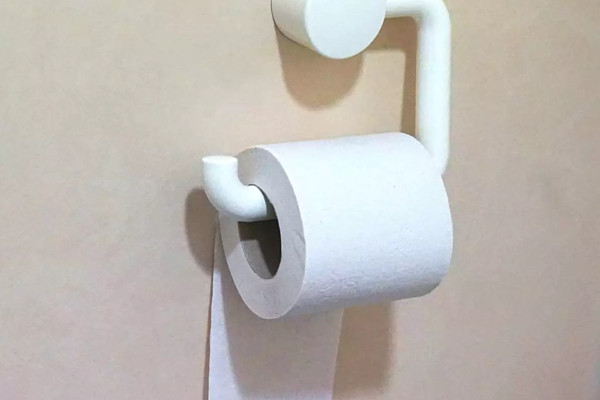 disposable toilet rolls