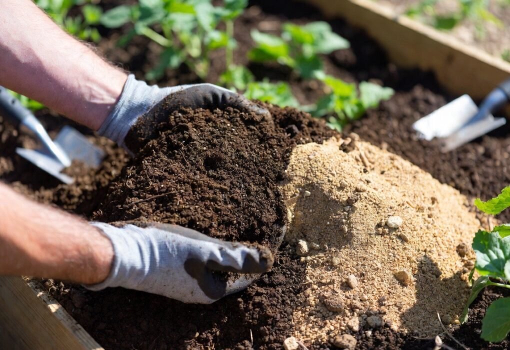 Sandy Loam