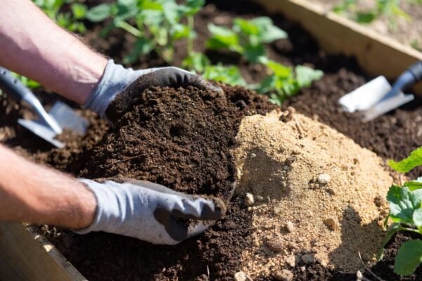 Sandy Loam